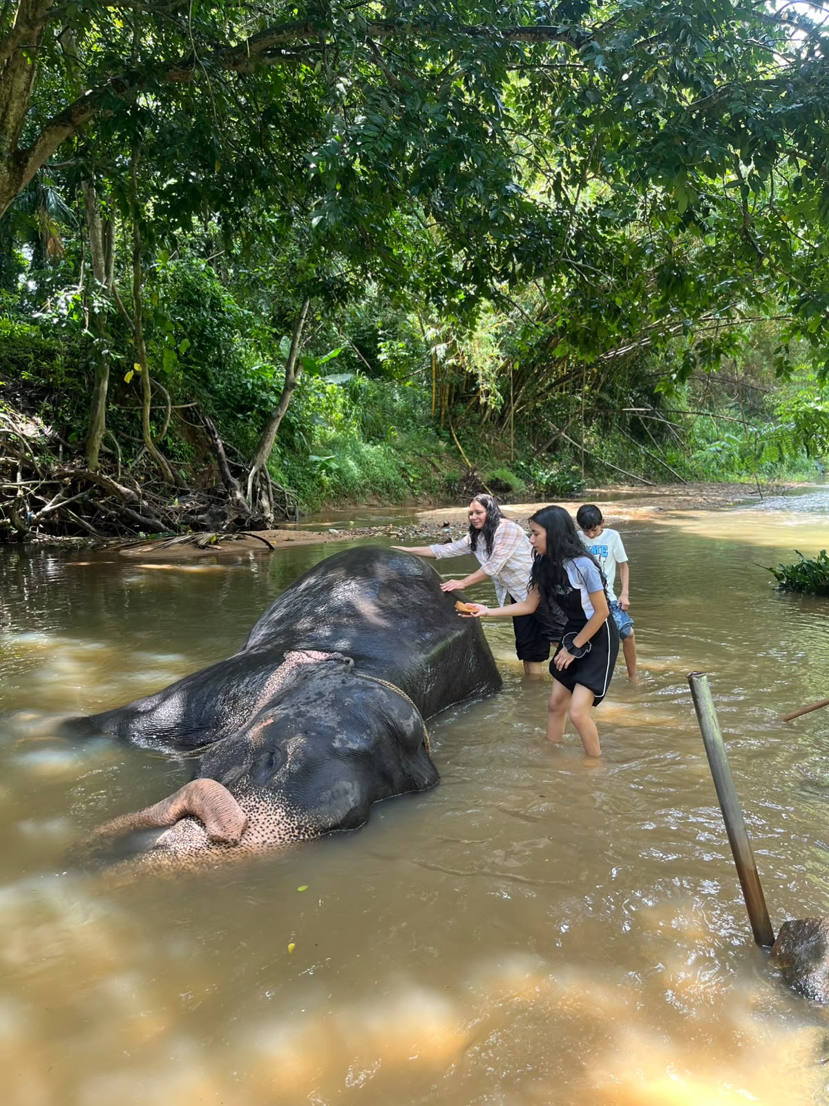 Sri Lanka Travel Moment 26